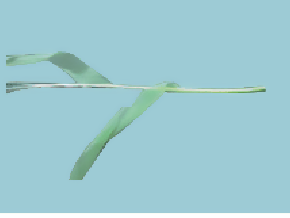 鐵氟龍膜電線(xiàn)繞包